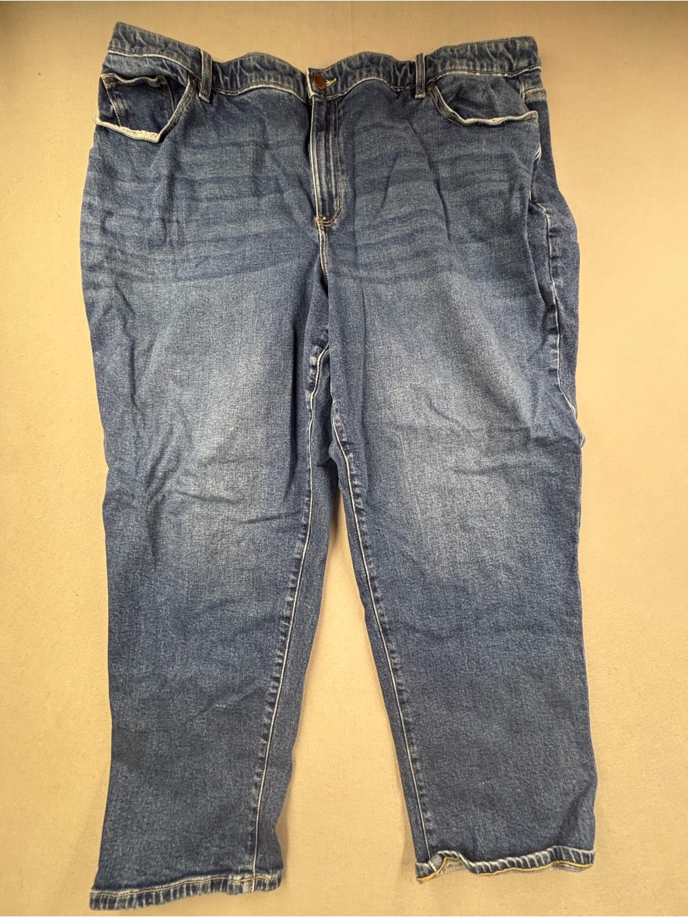 Lane‎ Bryant Relaxed Fit Denim Jeans in Blue
